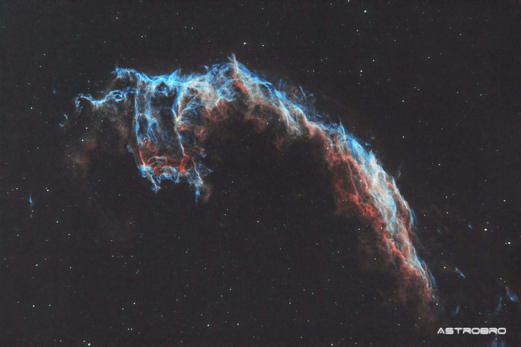 Dentelles du Cygne (IC 1340) photographiées au télescope : entrelacs de filaments rouges et turquoise formant un réseau dense de dentelle, sur fond d'étoiles du Cygne.