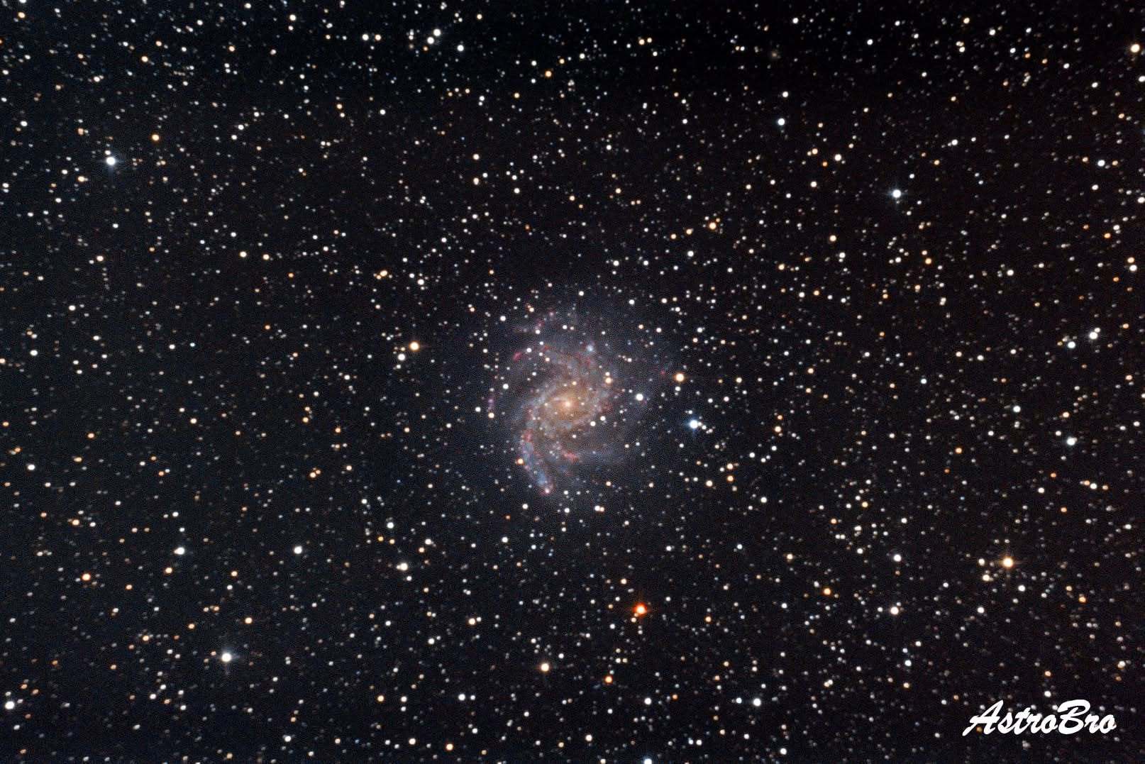 Galaxie du Feu d'Artifice (NGC 6946) photographiée au télescope : galaxie spirale vue de face, bras enroulés semés de régions rosées, dans un champ d'étoiles très dense à la frontière du Cygne et de Céphée.