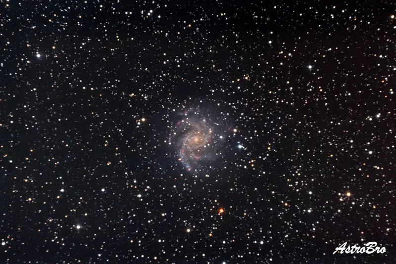 Galaxie du Feu d'Artifice (NGC 6946) photographiée au télescope : galaxie spirale vue de face, bras enroulés semés de régions rosées, dans un champ d'étoiles très dense à la frontière du Cygne et de Céphée.