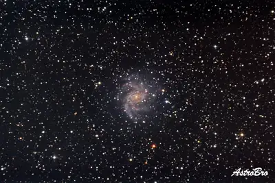 Galaxie du Feu d'Artifice (NGC 6946) photographiée au télescope : galaxie spirale vue de face, bras enroulés semés de régions rosées, dans un champ d'étoiles très dense à la frontière du Cygne et de Céphée.