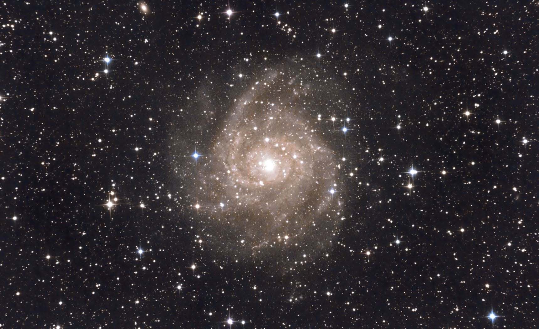 Galaxie IC 342 photographiée au télescope : spirale vue de face aux bras largement ouverts et bleutés, noyau jaune, dans un champ d'étoiles très dense de la constellation de la Girafe.