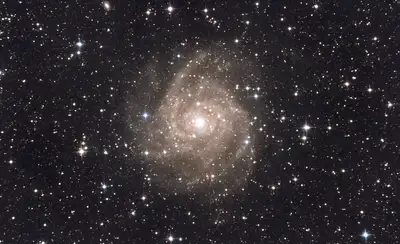 Galaxie IC 342 photographiée au télescope : spirale vue de face aux bras largement ouverts et bleutés, noyau jaune, dans un champ d'étoiles très dense de la constellation de la Girafe.
