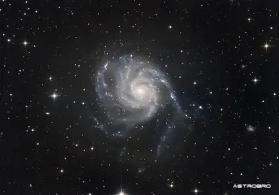 Galaxie du Moulinet (M101) photographiée au télescope : grande spirale vue de face, bras bleutés largement déployés et constellés de régions roses, noyau jaune, dans la Grande Ourse.