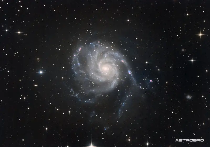 Galaxie du Moulinet (M101) photographiée au télescope : grande spirale vue de face, bras bleutés largement déployés et constellés de régions roses, noyau jaune, dans la Grande Ourse.
