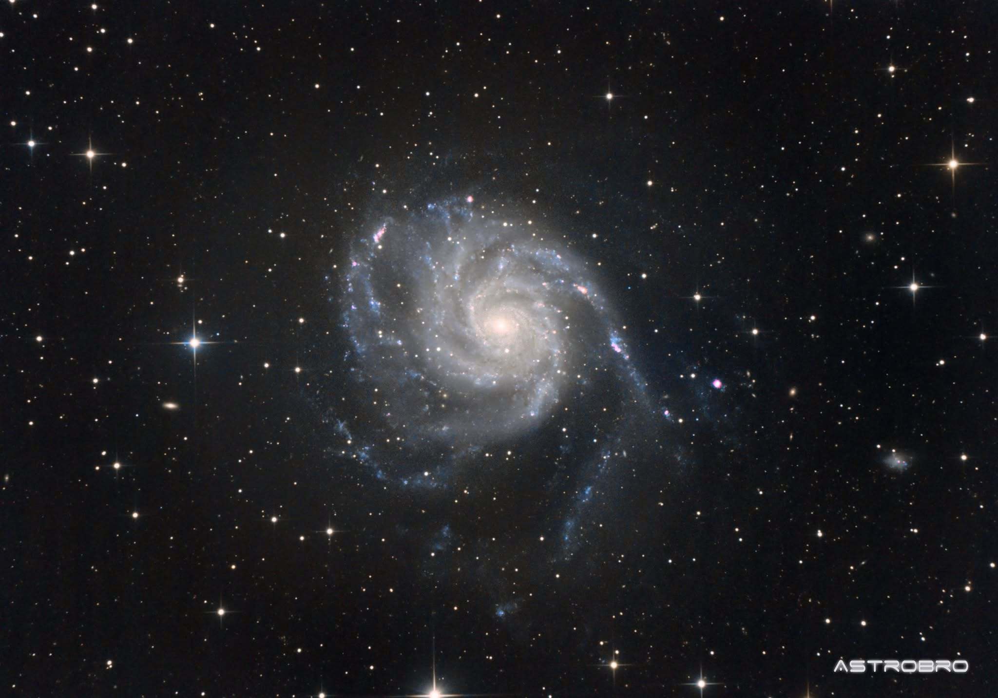 Galaxie du Moulinet (M101) photographiée au télescope : grande spirale vue de face, bras bleutés largement déployés et constellés de régions roses, noyau jaune, dans la Grande Ourse.
