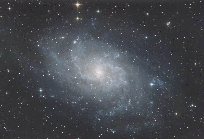 Galaxie du Triangle (M33) photographiée au télescope : grande spirale vue de face aux bras bleutés semés de nébuleuses roses, sur fond d'étoiles.