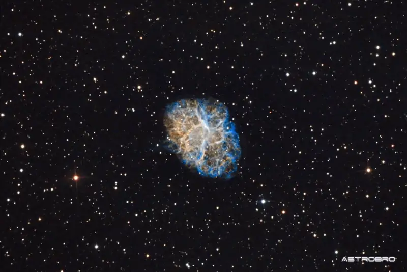 Nébuleuse du Crabe (M1) photographiée au télescope : nuage ovale orangé strié de filaments en réseau, cœur bleuté diffus, sur fond d'étoiles du Taureau.