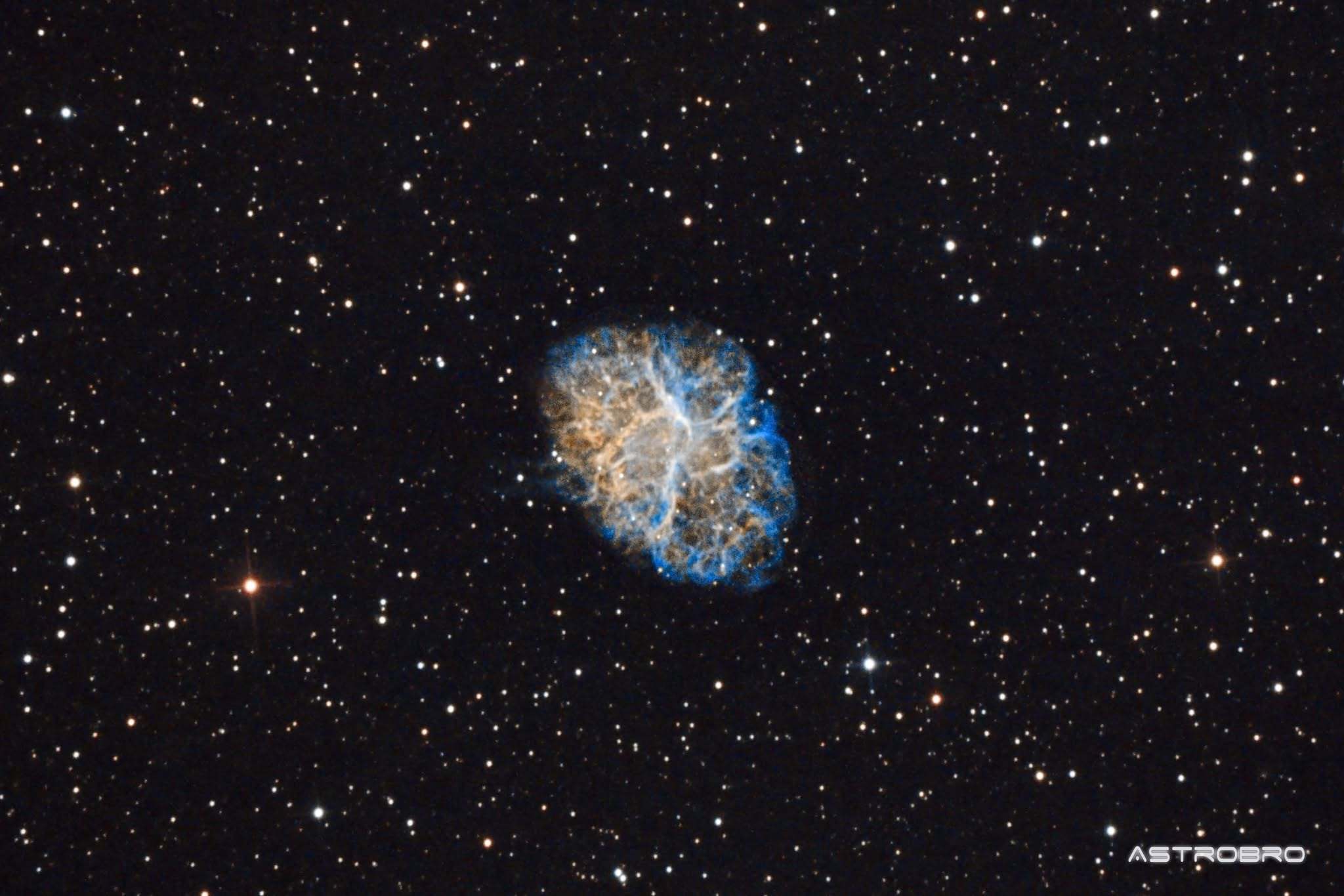 Nébuleuse du Crabe (M1) photographiée au télescope : nuage ovale orangé strié de filaments en réseau, cœur bleuté diffus, sur fond d'étoiles du Taureau.
