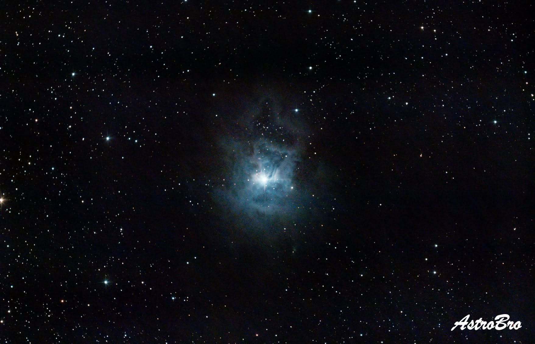 Nébuleuse de l'Iris (NGC 7023) photographiée au télescope : nuage bleu vif aux pétales découpés autour d'une étoile centrale, cerné de poussières brunes opaques, dans la constellation de Céphée.