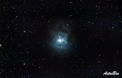 Nébuleuse de l'Iris (NGC 7023) photographiée au télescope : nuage bleu vif aux pétales découpés autour d'une étoile centrale, cerné de poussières brunes opaques, dans la constellation de Céphée.