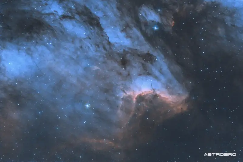 Nébuleuse du Pélican (IC 5070) photographiée au télescope : nuage d'hydrogène rouge dont le contour dessine une tête et un bec d'oiseau, bordé de colonnes de poussière sombres, dans le Cygne.