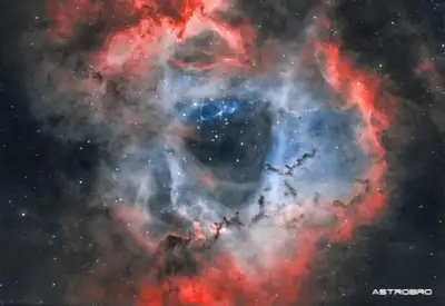 Nébuleuse de la Rosette photographiée au télescope : vaste couronne d'hydrogène rouge percée en son centre d'une cavité claire occupée par un amas d'étoiles bleues, dans la constellation de la Licorne.