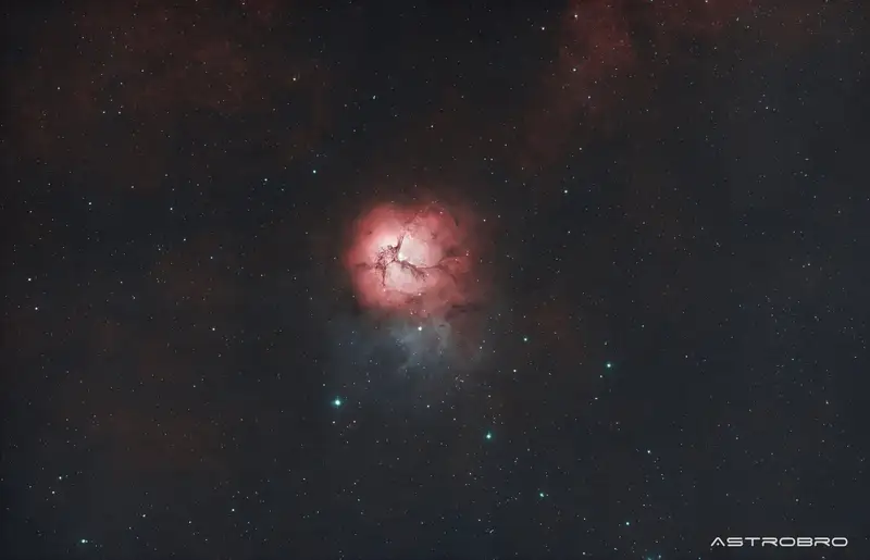 Nébuleuse de la Trifide (M20) photographiée au télescope : globe de gaz rose découpé en trois lobes par des bandes de poussière sombre, avec une nébuleuse bleue par réflexion juste en dessous.