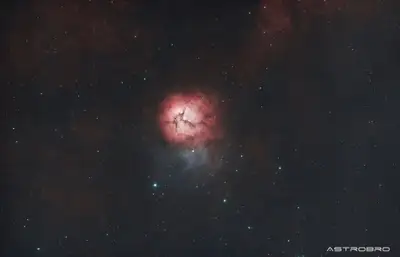 Nébuleuse de la Trifide (M20) photographiée au télescope : globe de gaz rose découpé en trois lobes par des bandes de poussière sombre, avec une nébuleuse bleue par réflexion juste en dessous.
