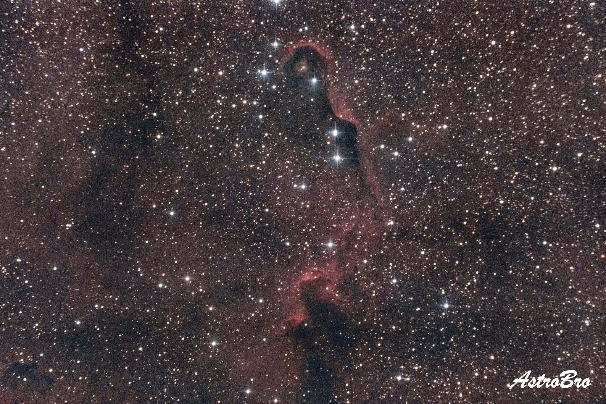 Trompe de l'Éléphant (IC 1396A) photographiée au télescope : long filament de poussière sombre bordé d'un liseré lumineux, serpentant dans un champ d'hydrogène rouge parsemé d'étoiles.