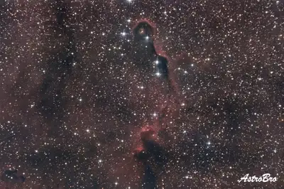 Trompe de l'Éléphant (IC 1396A) photographiée au télescope : long filament de poussière sombre bordé d'un liseré lumineux, serpentant dans un champ d'hydrogène rouge parsemé d'étoiles.