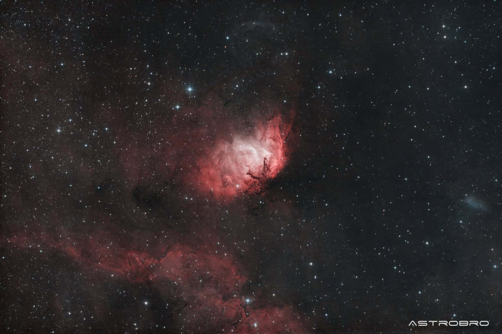 Nébuleuse de la Tulipe (Sh2-101) photographiée au télescope : nuage d'hydrogène rouge en forme de pétales autour d'un cœur clair, dans un champ dense d'étoiles du Cygne strié de nébulosités diffuses.